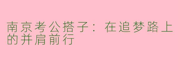 南京考公搭子：在追梦路上的并肩前行