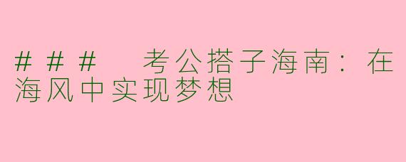 ### 考公搭子海南：在海风中实现梦想