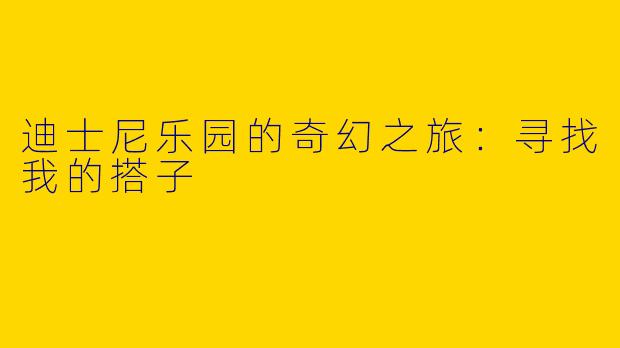 迪士尼乐园的奇幻之旅:寻找我的搭子