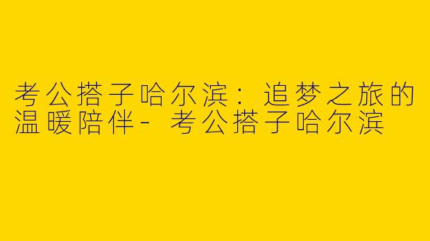 考公搭子哈尔滨：追梦之旅的温暖陪伴