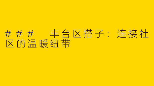 ### 丰台区搭子：连接社区的温暖纽带