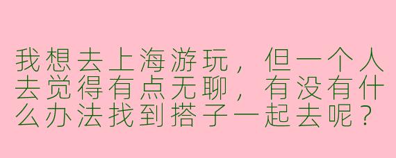 我想去上海游玩，但一个人去觉得有点无聊，有没有什么办法找到搭子一起去呢？****
