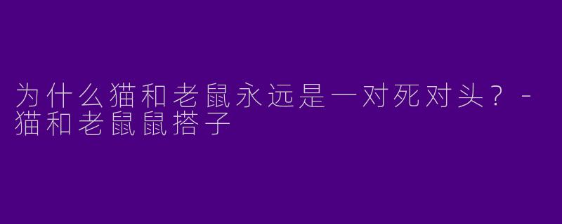 为什么猫和老鼠永远是一对死对头？