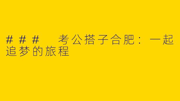 ### 考公搭子合肥:一起追梦的旅程