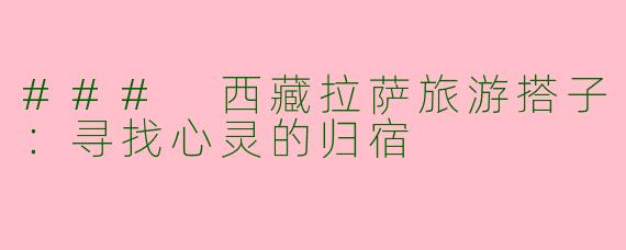### 西藏拉萨旅游搭子：寻找心灵的归宿