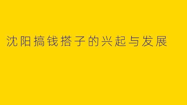 沈阳搞钱搭子的兴起与发展