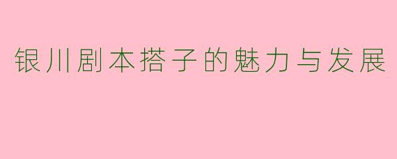 银川剧本搭子的魅力与发展