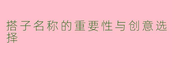 搭子名称的重要性与创意选择