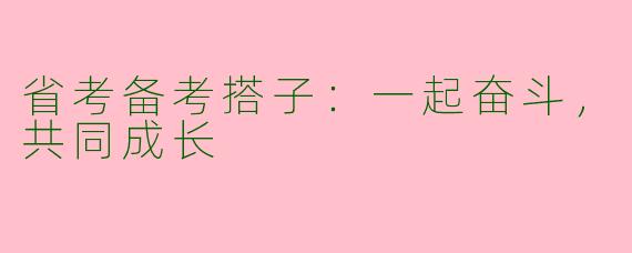 省考备考搭子:一起奋斗,共同成长