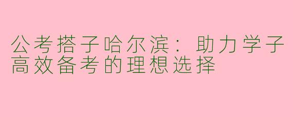 公考搭子哈尔滨:助力学子高效备考的理想选择