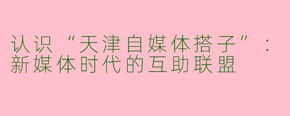 认识“天津自媒体搭子”：新媒体时代的互助联盟