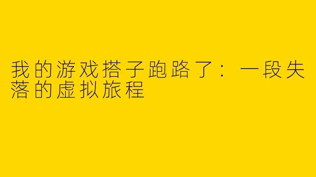 我的游戏搭子跑路了：一段失落的虚拟旅程