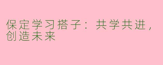 保定学习搭子:共学共进,创造未来