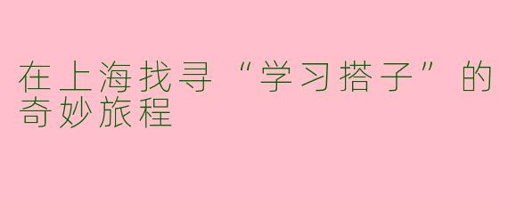 在上海找寻“学习搭子”的奇妙旅程