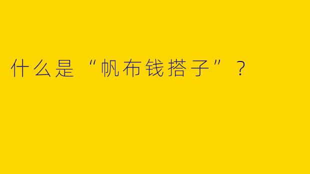 什么是“帆布钱搭子”?