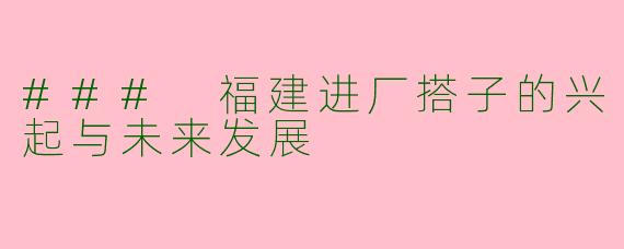 ### 福建进厂搭子的兴起与未来发展