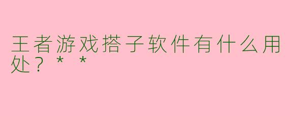 王者游戏搭子软件有什么用处?**