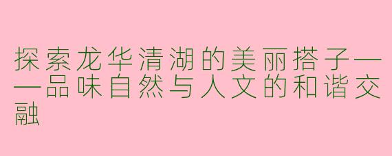 探索龙华清湖的美丽搭子——品味自然与人文的和谐交融