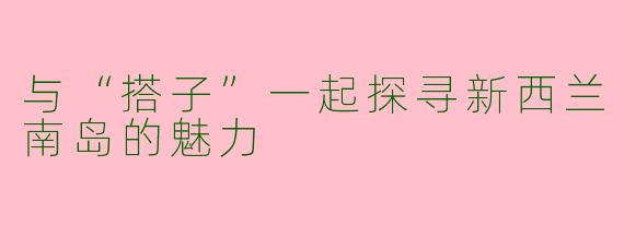 与“搭子”一起探寻新西兰南岛的魅力