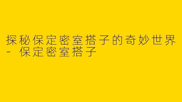 探秘保定密室搭子的奇妙世界-保定密室搭子