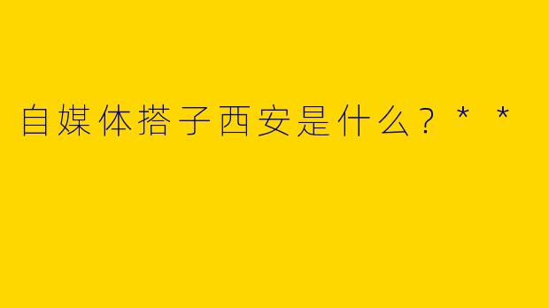 自媒体搭子西安是什么？**