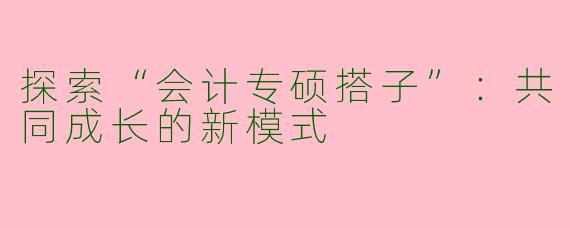探索“会计专硕搭子”：共同成长的新模式