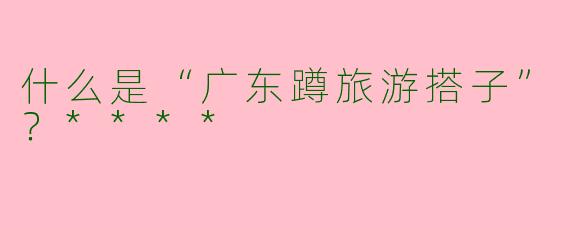 什么是“广东蹲旅游搭子”？****
