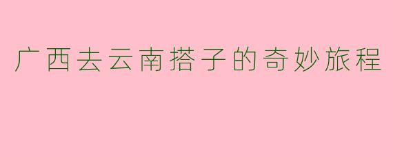 广西去云南搭子的奇妙旅程