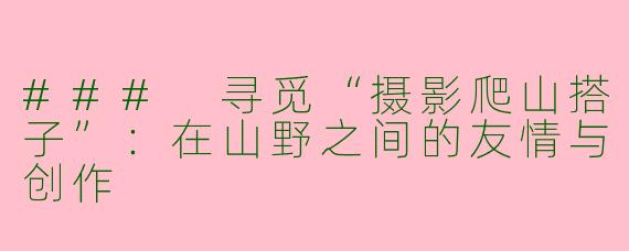 ### 寻觅“摄影爬山搭子”：在山野之间的友情与创作