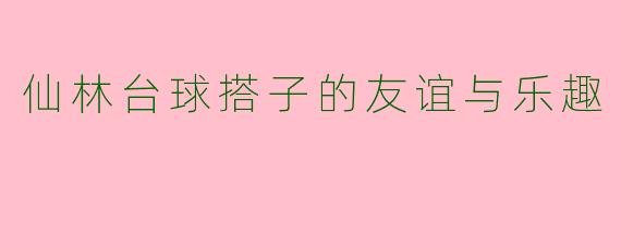 仙林台球搭子的友谊与乐趣
