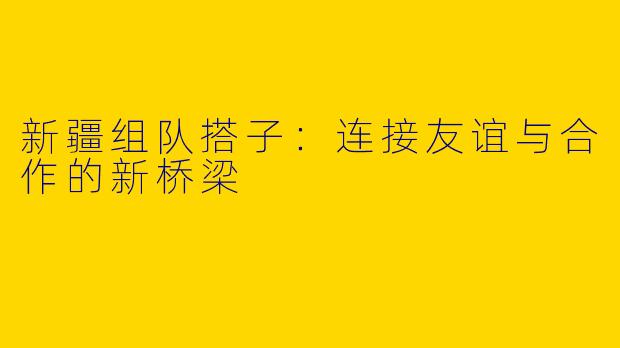 新疆组队搭子:连接友谊与合作的新桥梁