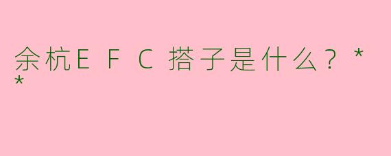 余杭EFC搭子是什么?**