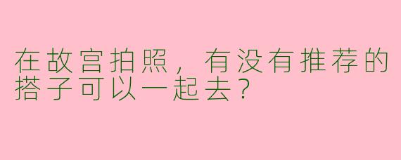 在故宫拍照,有没有推荐的搭子可以一起去?