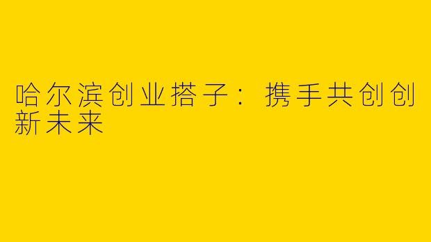 哈尔滨创业搭子：携手共创创新未来