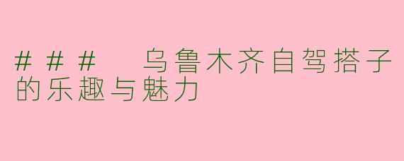### 乌鲁木齐自驾搭子的乐趣与魅力