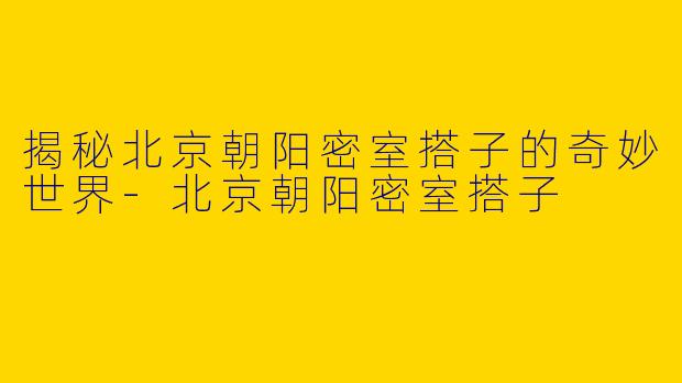 揭秘北京朝阳密室搭子的奇妙世界