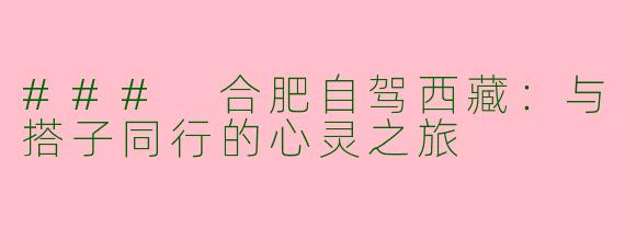 ### 合肥自驾西藏：与搭子同行的心灵之旅