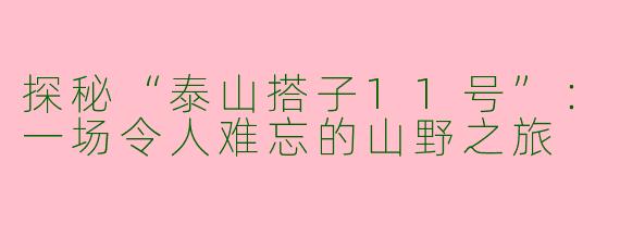 探秘“泰山搭子11号”：一场令人难忘的山野之旅