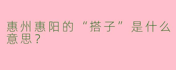 惠州惠阳的“搭子”是什么意思？  