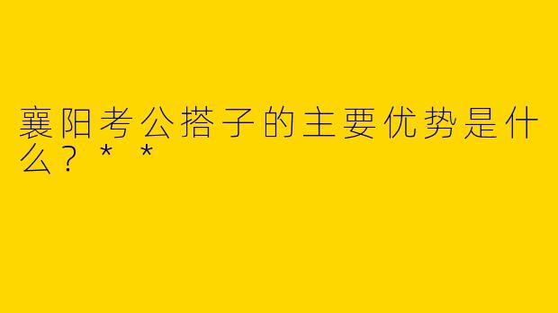 襄阳考公搭子的主要优势是什么?**