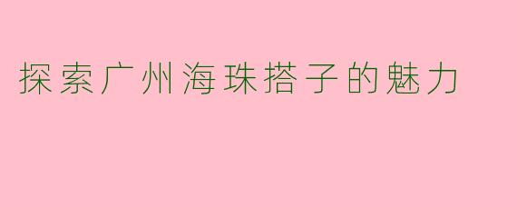 探索广州海珠搭子的魅力