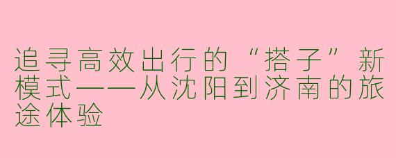 追寻高效出行的“搭子”新模式——从沈阳到济南的旅途体验
