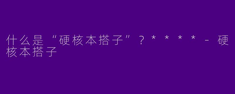 什么是“硬核本搭子”?****