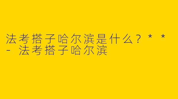 法考搭子哈尔滨是什么?**