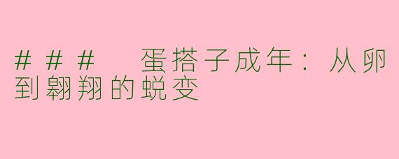 ### 蛋搭子成年：从卵到翱翔的蜕变