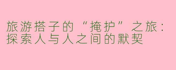 旅游搭子的“掩护”之旅：探索人与人之间的默契
