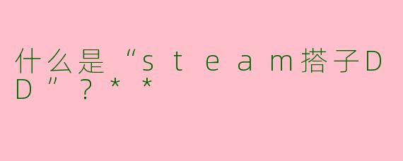 什么是“steam搭子DD”？**