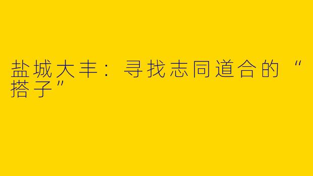 盐城大丰:寻找志同道合的“搭子”