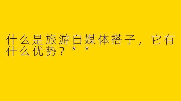 什么是旅游自媒体搭子，它有什么优势？**