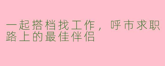一起搭档找工作，呼市求职路上的最佳伴侣